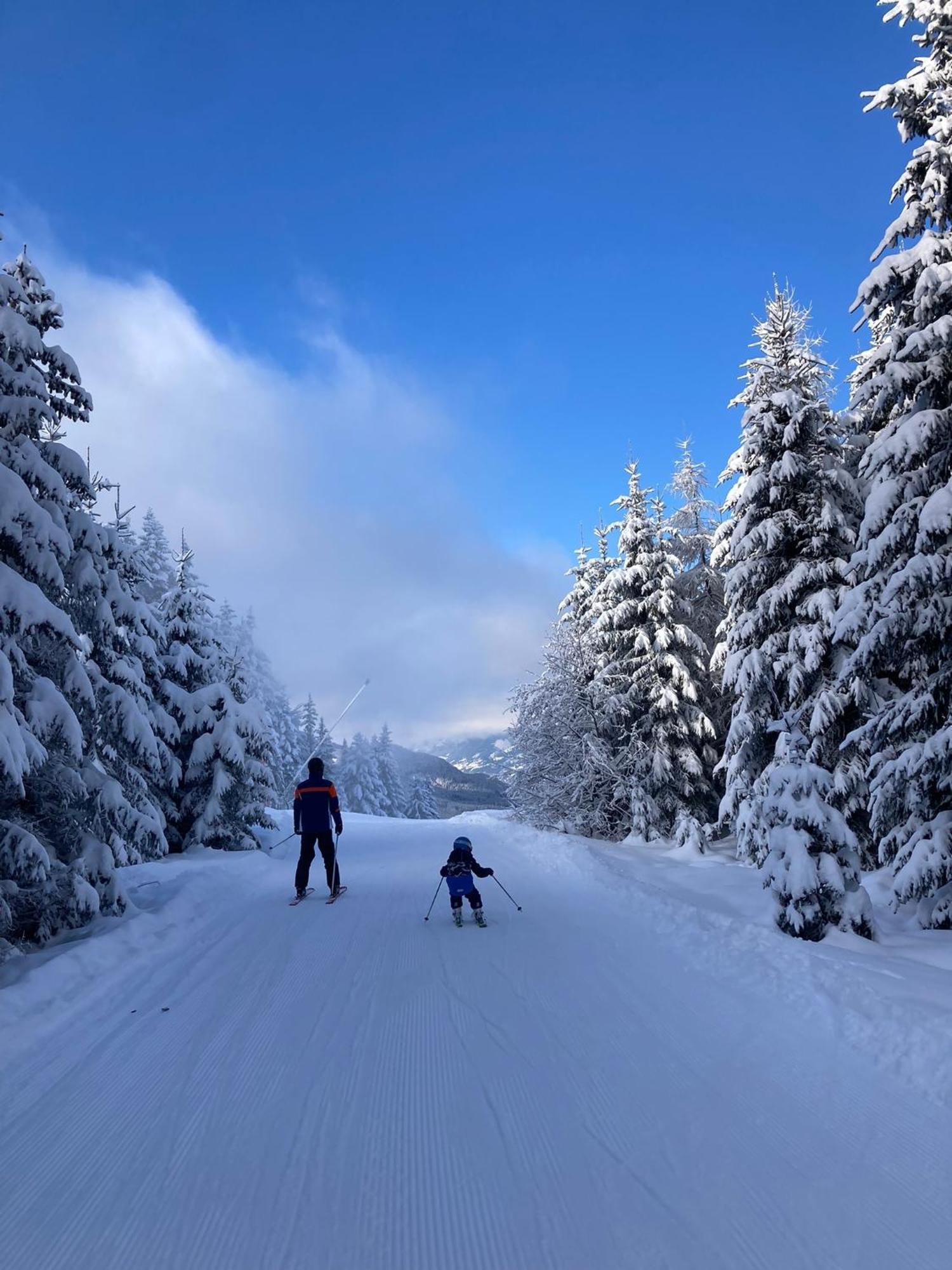 Haus Binder Daire Weissensee Dış mekan fotoğraf