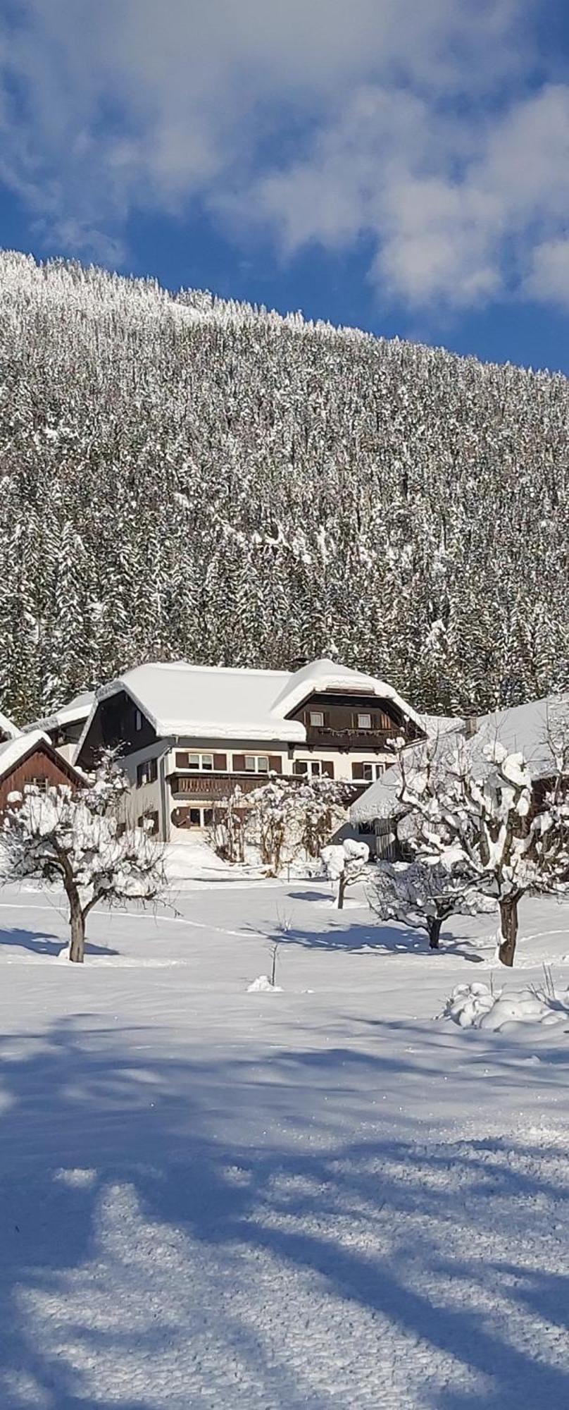 Haus Binder Daire Weissensee Dış mekan fotoğraf