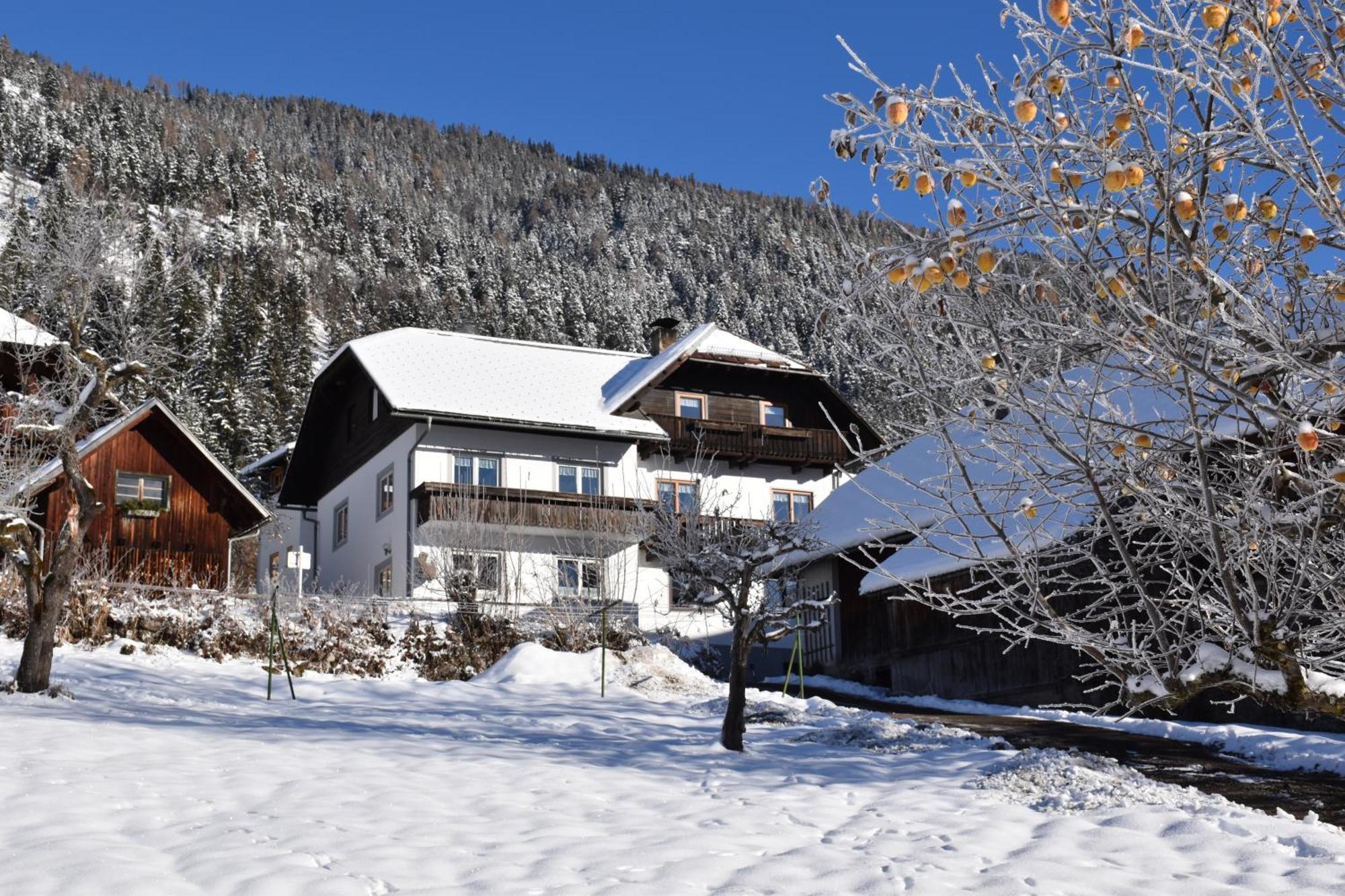 Haus Binder Daire Weissensee Dış mekan fotoğraf