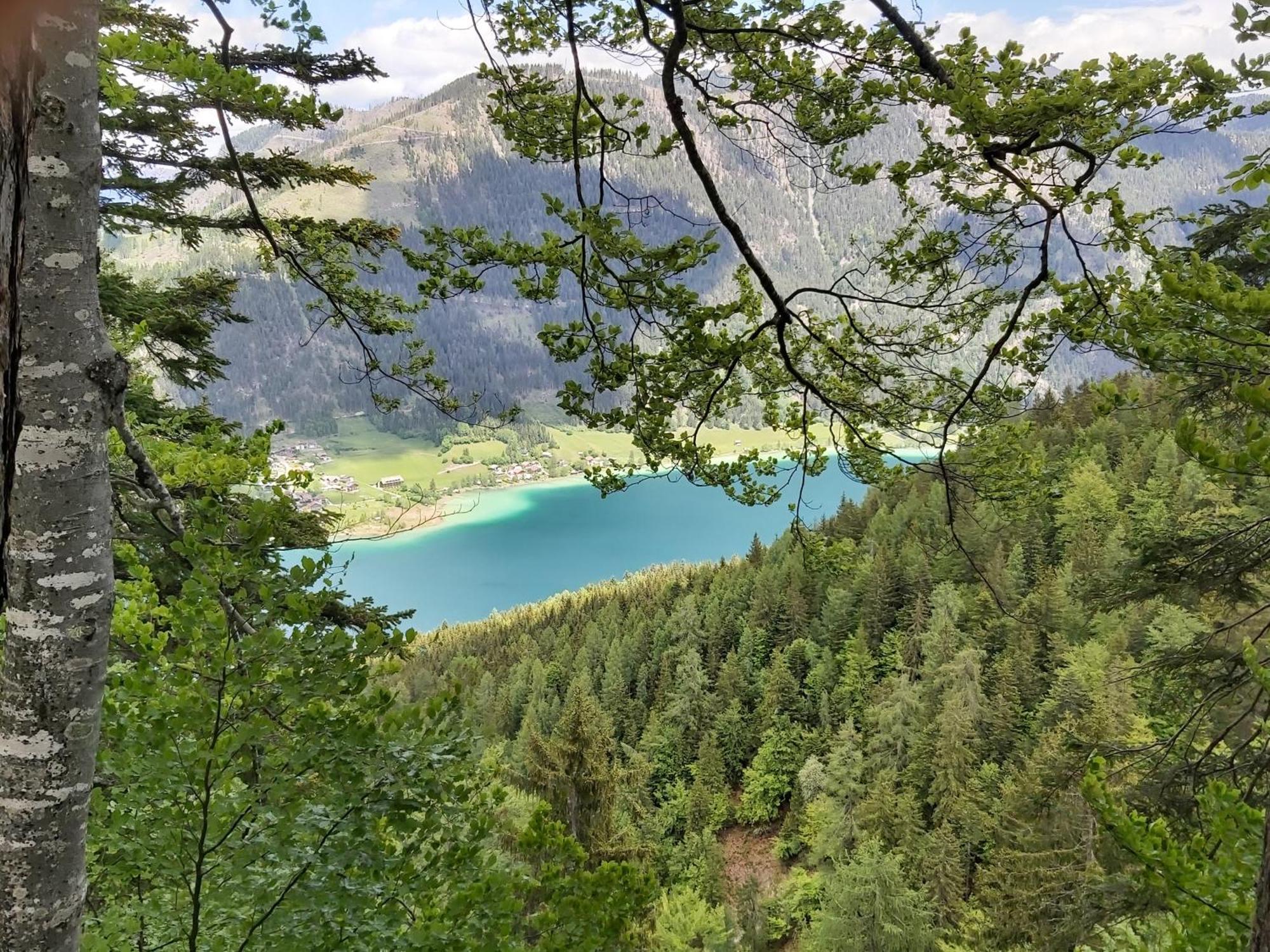 Haus Binder Daire Weissensee Dış mekan fotoğraf